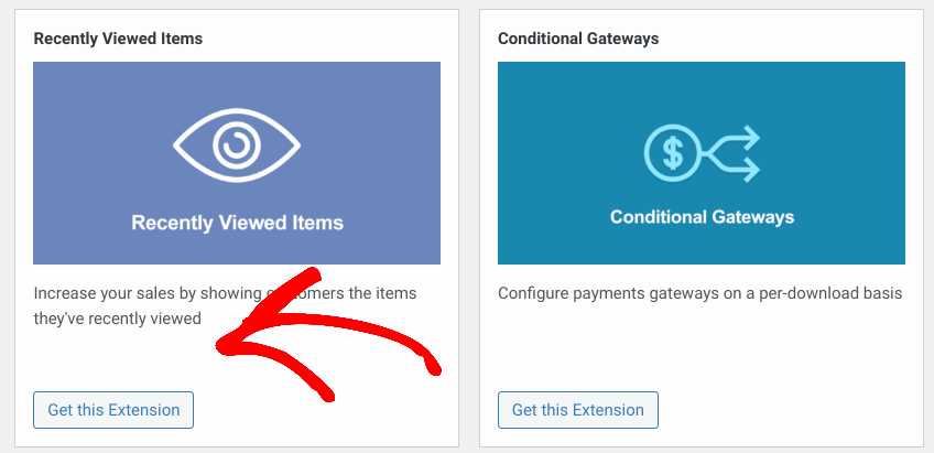 The option to get the Recently Viewed Items EDD extension.
