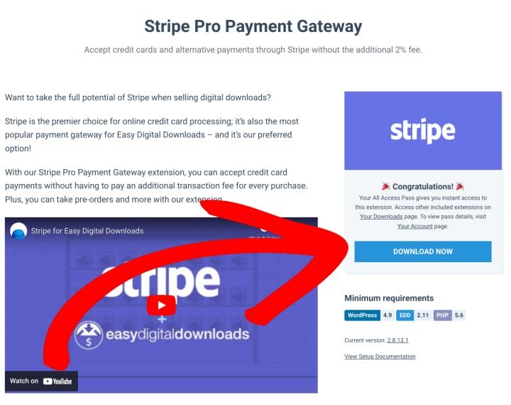 The Stripe Pro Payment Gateway extension download page.