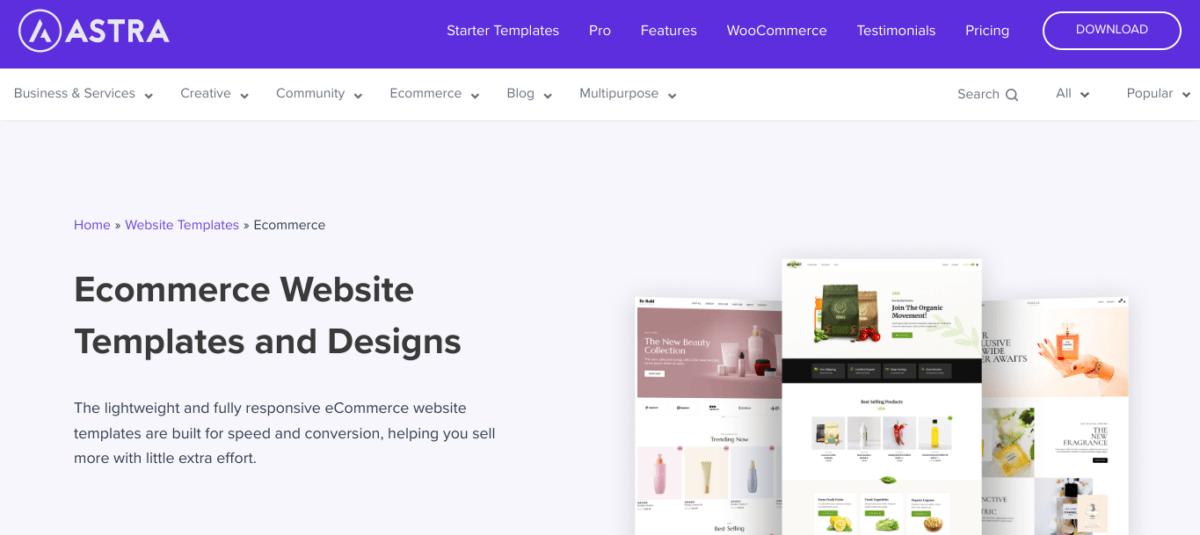 Astra, one of the best WordPress eCommerce themes.
