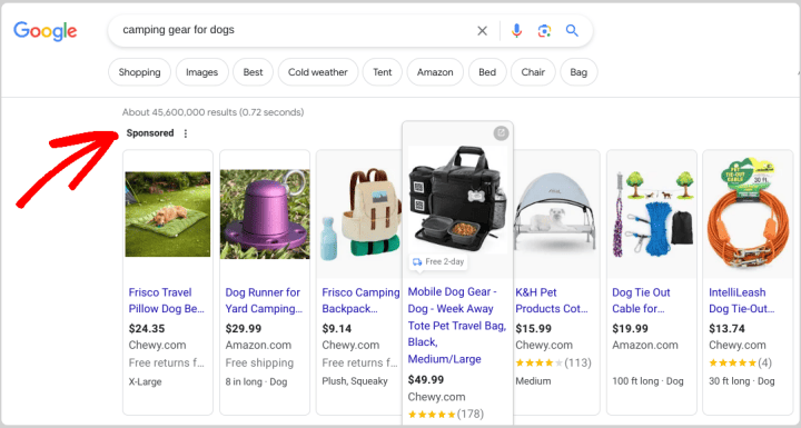 A Google search results page with PPC/sponsored ads at the top.